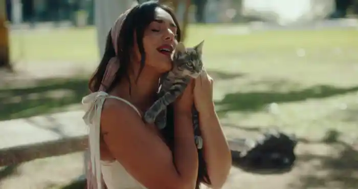 Gato