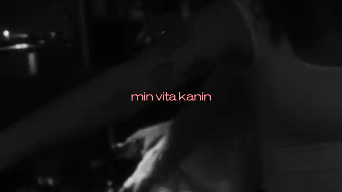 Min vita kanin (Lyric Video)