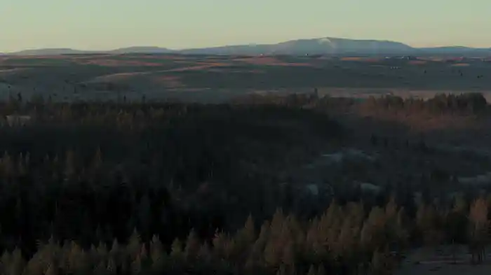 Trouble (Visualizer)