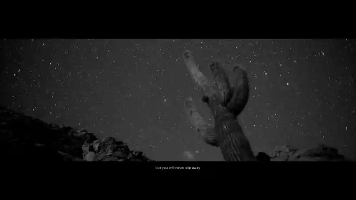 Mumford & Sons And National Geograpic Present: Slip Away (Lyric Video)