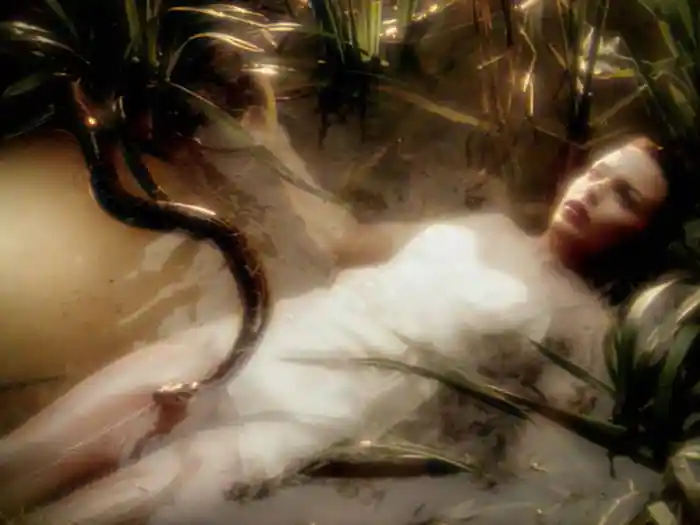 Where the Wild Roses Grow