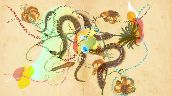 A Vida (Lyric Video)