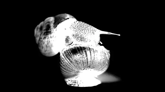 Ich weiß es nicht (A.I.)