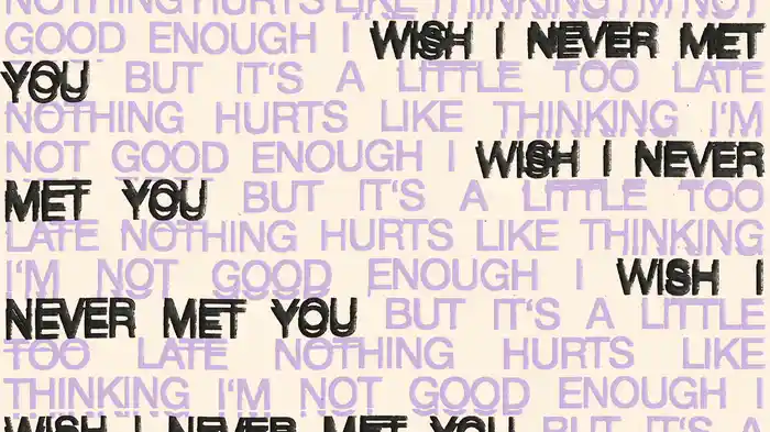 I Wish I Never Met You (Official Audio)