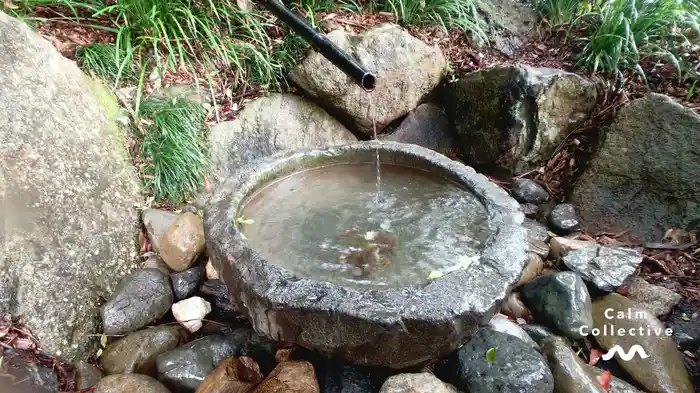 Water Fountain (Visualiser)