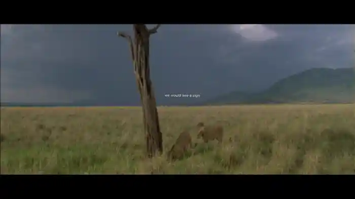 Mumford & Sons And National Geograpic Present: 42 (Lyric Video)