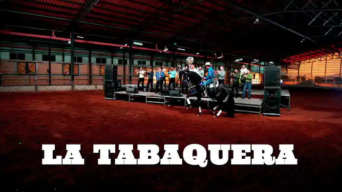La Tabaquera (En Vivo / LETRA)