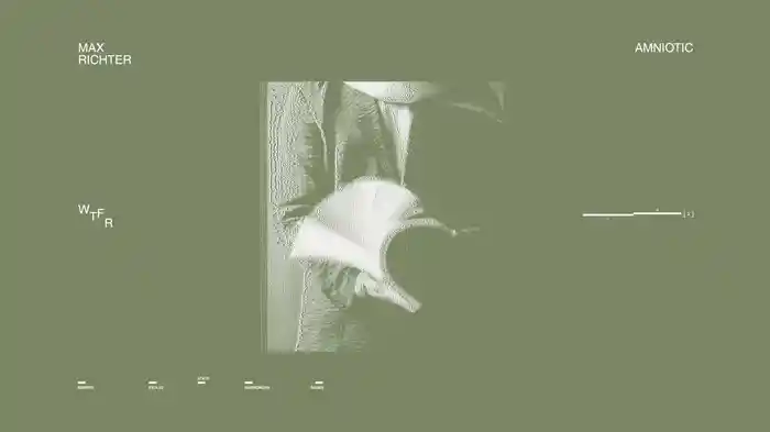 Amniotic (2026 Remastered / Visualiser)