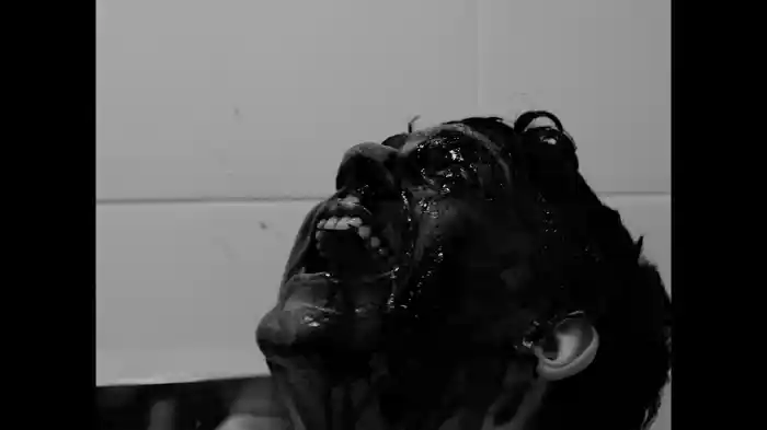 Sanırım Yaşlanıyorum