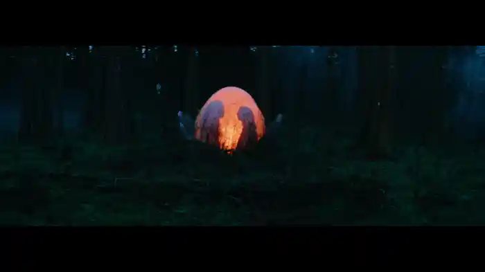 Calendário (Um Filme Das Irmãs Fridman)