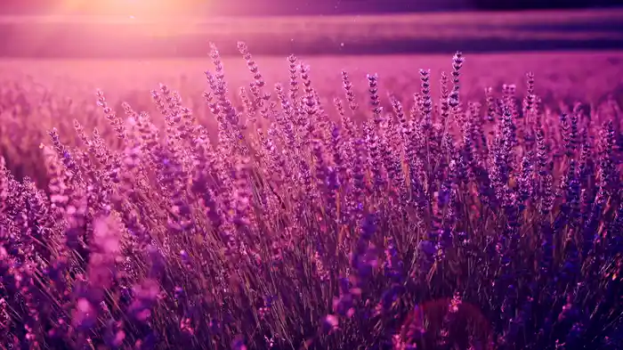 Stronger Than Before (Visualizer)