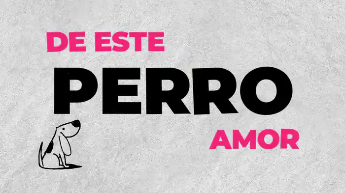 Perro Amor (Lyric Video)