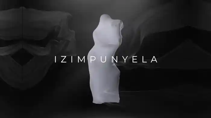 Izimpunyela (Visualizer)