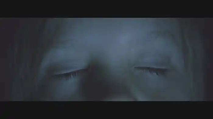 The Visitor