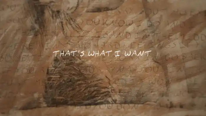 What I Want (Lyric Video)