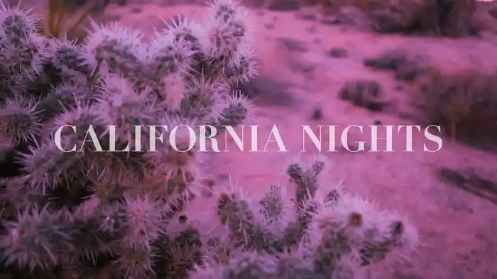 California Nights