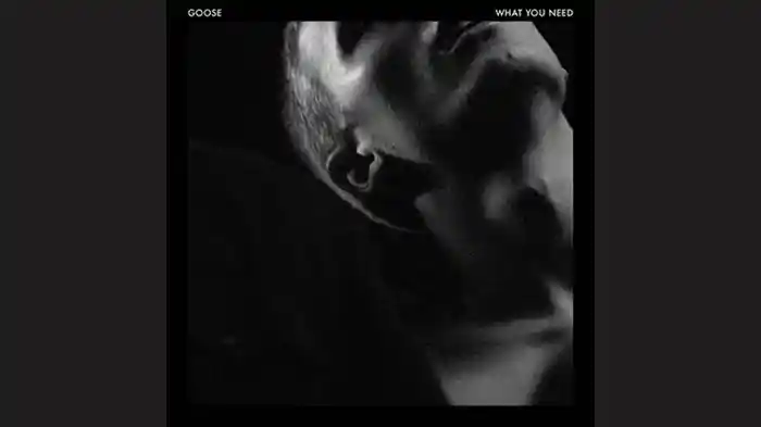 What You Need (Audio)