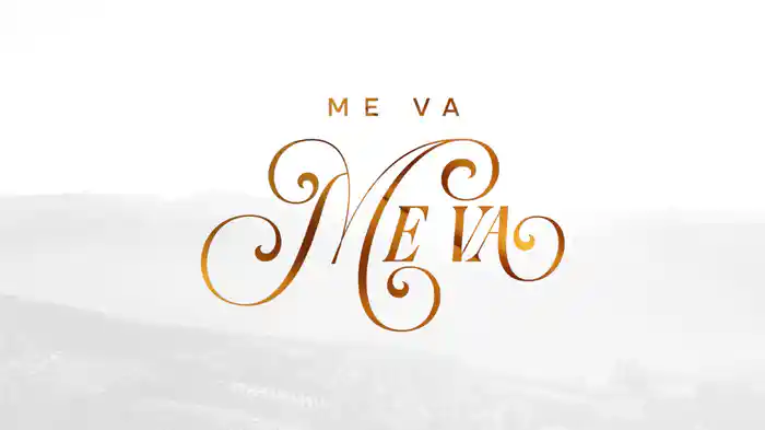 Me Va Me Va (Karaoke)