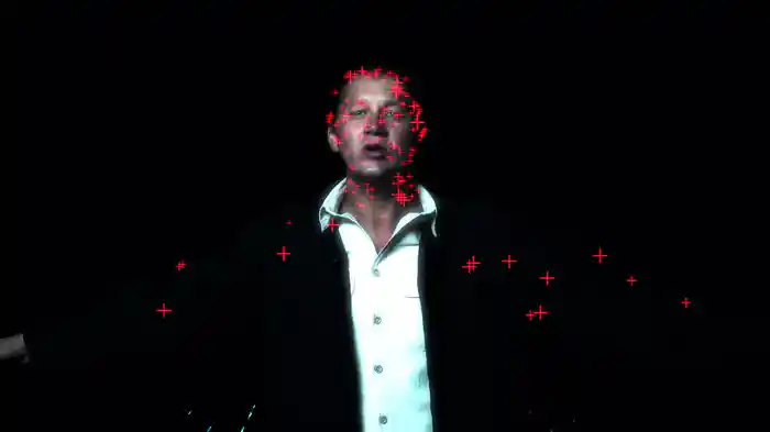 Koala Before the Storm