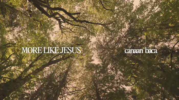 More Like Jesus (Lyric Video)