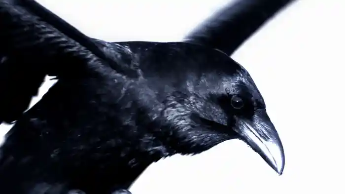 Good People (Lyric Video)