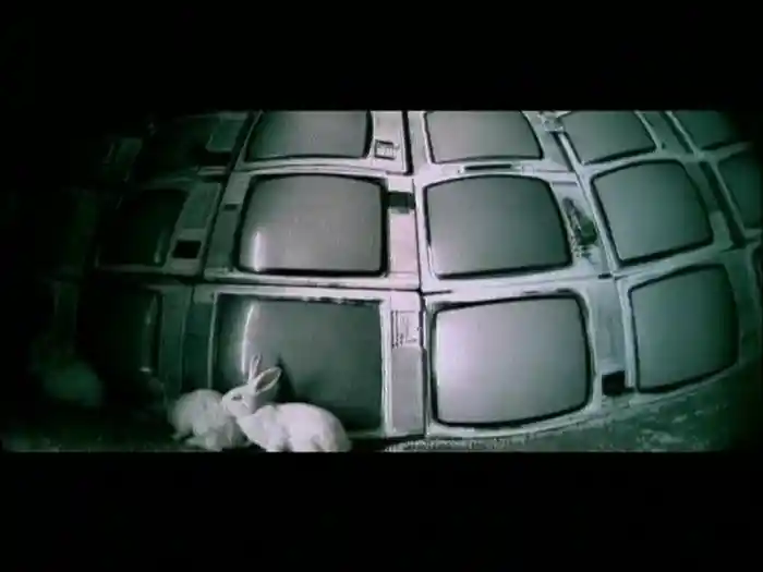 Miami Safari (Videoclip)