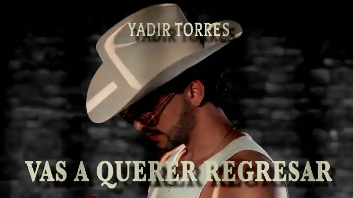 Vas A Querer Regresar (LETRA)