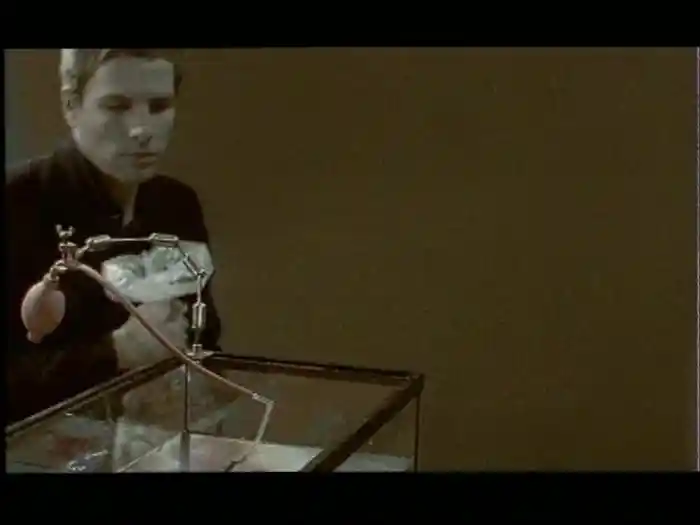 Un Après-Midi A Paris