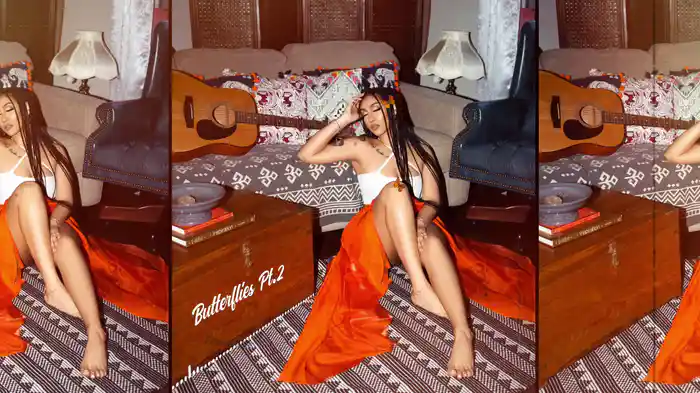 Butterflies Pt. 2 (Acoustic / Visualizer)