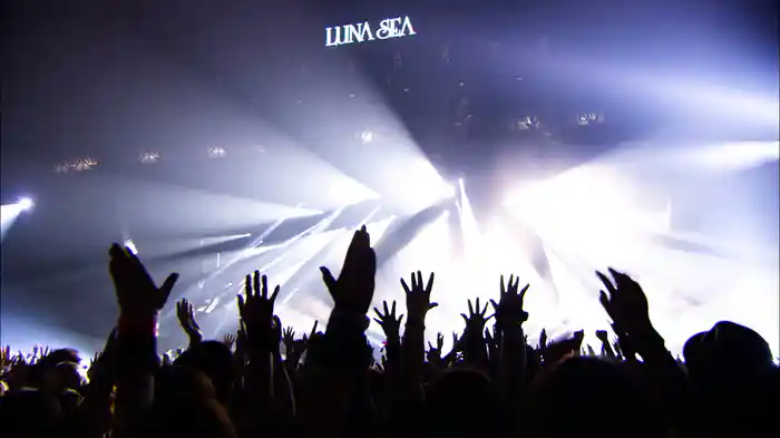 LOVELESS (Live At LUNATIC FEST SEA, 2018)