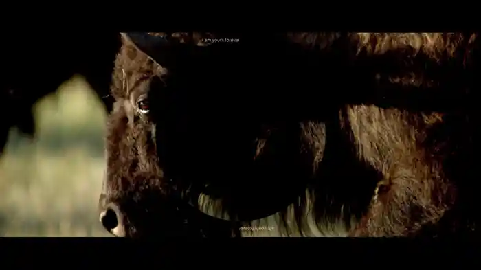 Mumford & Sons And National Geograpic Present: Rose Of Sharon (Lyric Video)