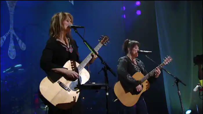 Dog & Butterfly (Live)