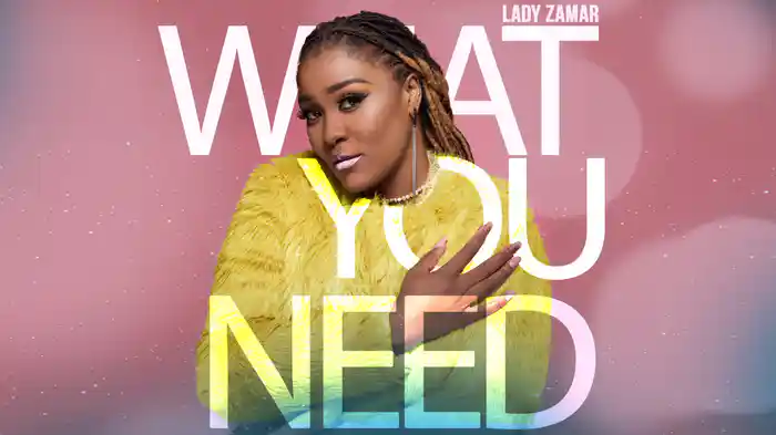 What You Need (Audio)