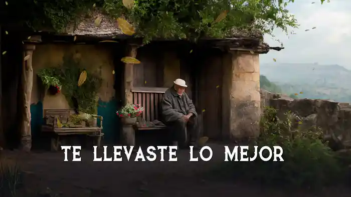 Te Llevaste Lo Mejor (LETRA)