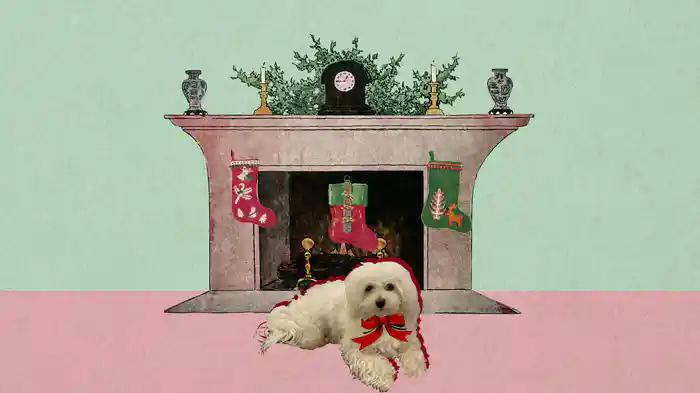 Dogs Love Christmas Too (Lyric Video)