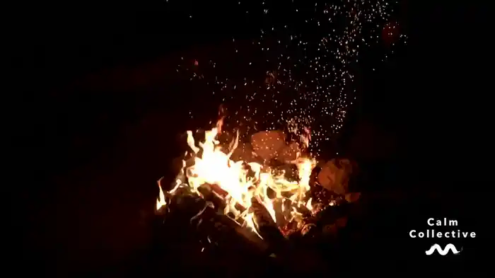 Crackling Fire (Visualiser)