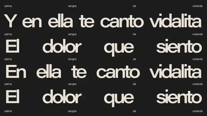 VIDALITA (Visualizer)