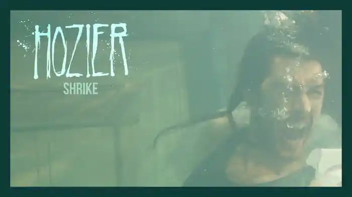 Shrike (Audio)