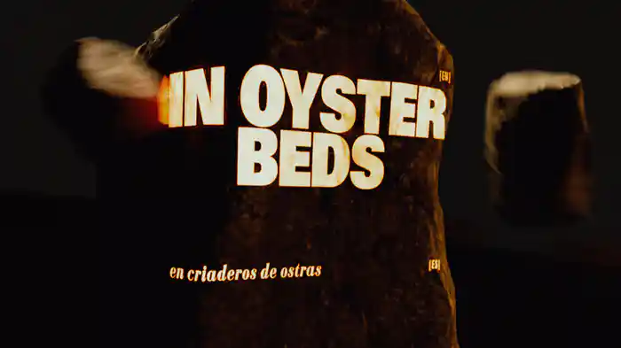 Oyster Beds (Lyric Video)