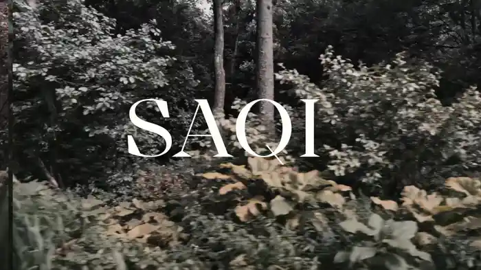 Saqi