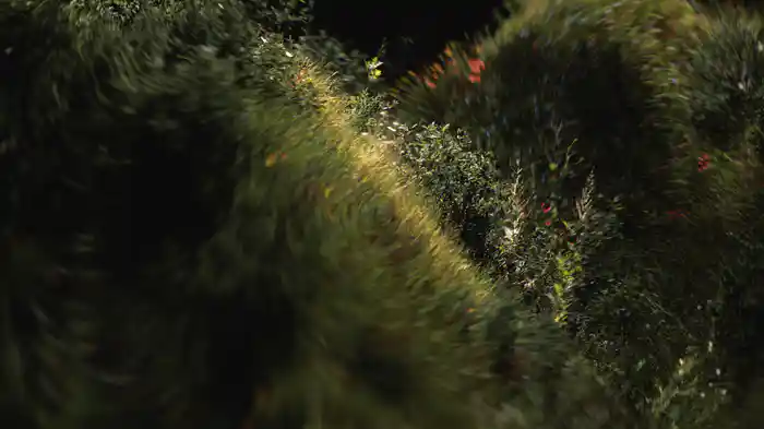 Shared Time (Visualiser)