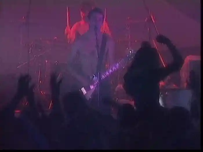 Renegade Fighter (Video)