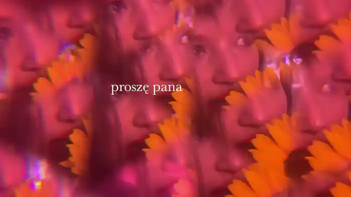 Proszę pana (Lyric Video)