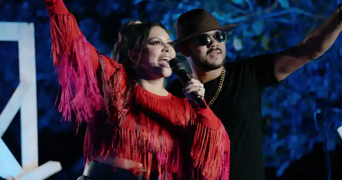 Brega Funk E Piseiro