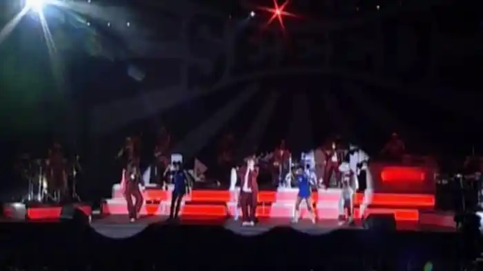 Schwinger (Das Fest Karlsruhe 2006 / Live)