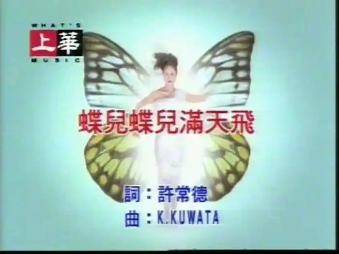 Die Er Die Er Man Tian Fei (Karaoke)