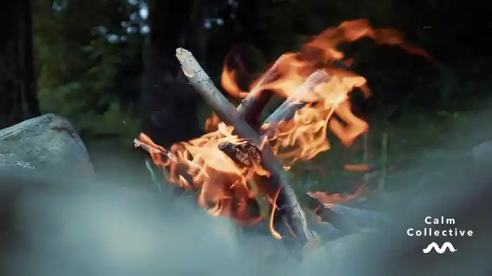 Wind, Fire, Water (Visualiser)