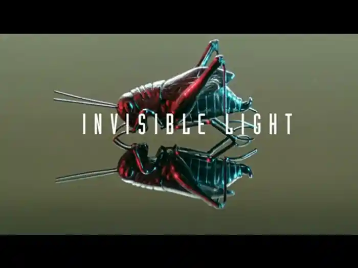 Invisible Light