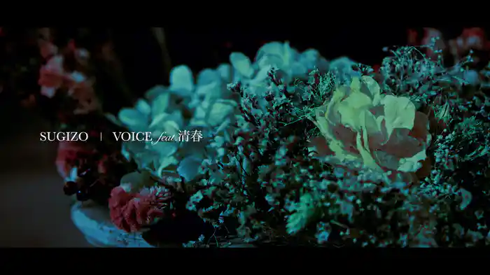 VOICE