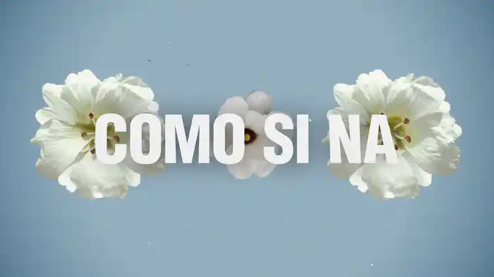 Como Si Na (Lyric Video)